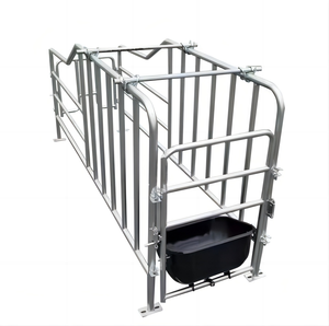 Профессиональный дизайн трубчатых свиноматок стойкие оцинкованные стальные свиноприборы для ферм - Product Image 3