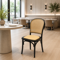 Chaise de salle à manger commerciale style Vienne, dossier en rotin plastique, structure en résine imitation bois pour projets hôteliers et de restaurants