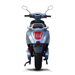 電動スクーター2023 EEC工場直販2輪ディスクブレーキ2000w CKD