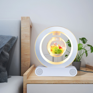 Đèn Quả Cầu Bay Lơ Lửng Từ Tính Giữ Sáng Thế Giới Đặc Biệt Có Bluetooth - Product Image 3