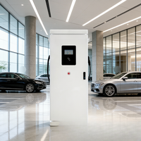 Nueva Estación de Carga Comercial para Vehículos Eléctricos 240kW CCS2 Gun OCPP 1.6J, Solución de Estacionamiento para Flotas con Conector Dual Independiente Jinghu TA-DC-FD