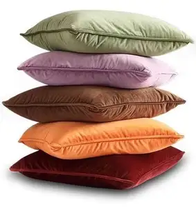 Decorative Throw Pillow Covers velvet piping edge Cushion Cases Modern Double-Sided Soft Velvet cushion cushion for Home Decor