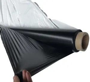 Film de paillis de couverture de paillage réfléchissant en plastique noir et argent agricole biodégradable de haute qualité avec différents trous de rangées