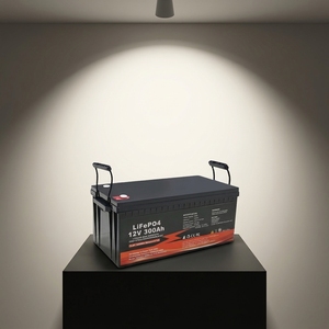 Paket Baterai LiFePO4 OEM 12V 100Ah 200Ah 300Ah dengan BMS Penyimpanan Energi Surya - Product Image 1