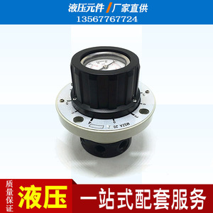 Pressostat Ms2a, filetage G1/2, pour air, huile hydraulique, machines industrielles, IP54, fonte - Product Image 4