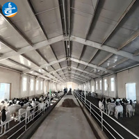 Grange de ferme de structure en acier de conception moderne pour des moutons pour des fermes modernes