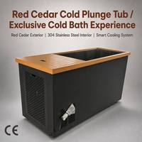 Baignoire à glace extérieure moderne en cèdre rouge avec filtre de refroidissement pour la récupération musculaire et la douche extérieure, idéale pour villas et hôtels