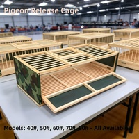 Cage à pigeons pliable CT, cage d'entraînement pour pigeons de course, cadre en bois, camouflage, panier de transport pour pigeons, tailles 40-80 cm