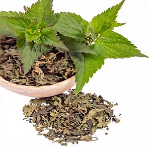 Polvere <span class=keywords><strong>di</strong></span> <span class=keywords><strong>Ortica</strong></span> Concentrata Naturale e Biologica <span class=keywords><strong>di</strong></span> Alta Qualità, Estratto <span class=keywords><strong>di</strong></span> <span class=keywords><strong>Ortica</strong></span> in Polvere per Uso Alimentare - Product Image 4