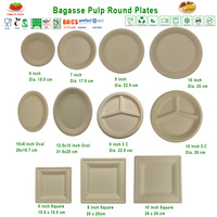 Bandeja de Bagazo Desechable Resistente sin PFAS, con 5 Compartimentos, Sin Blanquear, Compostable (OK Compost, BPI Compostable) para Almuerzos en Cafeterías Escolares