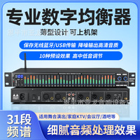 Égaliseur numérique SUB 31 bandes avec tuner, unité d'effets de réduction du bruit pour performance scénique, spécifique au sonorisation de scène