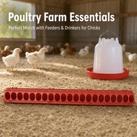 Nouvelle mangeoire en plastique pour poussins, canetons, cailles, 98 cm, avec couvercle rabattable, plateau d'alimentation pour volailles, 42 trous, remplissage facile, ferme
