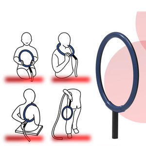 Macchina Terapeutica da Tavolo Lengze Horse Equine PMCT PRO a Doppia Ala per Terapia con Campo Elettromagnetico Pulsato per Alleviare il Dolore - Product Image 3