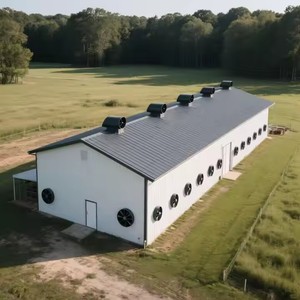 Casas pequeñas de alta calidad, edificios prefabricados modernos, estructura de acero, almacenes - Product Image 3