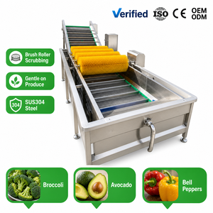 Laveuse à rouleaux pour pommes de terre, carottes, gingembre – Machine à laver les légumes à bulles – Nettoyeur commercial pour légumes-racines - Product Image 1