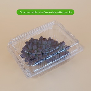 กล่องพลาสติกใสแบบฝาพับสำหรับผลไม้และผัก แบบขายส่ง ปรับแต่งได้ พร้อมช่องระบายอากาศ - Product Image 4
