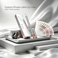 Crayon à lèvres waterproof longue tenue pour maquillage quotidien, effaçable, pour des lèvres plus pulpeuses, marque privée, rouge à lèvres nude