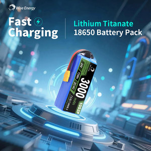 ชุดแบตเตอรี่สำรอง LTO 18650แบตเตอรี่ลิเธียมไอออนสำหรับตั้งแคมป์ - Product Image 5