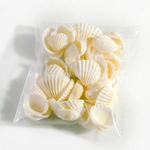 Langsung pabrik alami ramah lingkungan cangkang putih salju kerang ornamen akuarium tangki ikan Aksesori dekorasi lanskap - Product Image 2