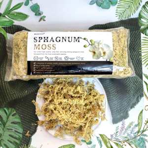 Terre de rempotage de mousse de sphaigne de luxe de 5.3oz pour plantes succulentes carnivores et orchidées-Sacs écologiques - Product Image 4