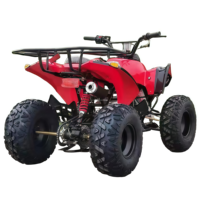 Quad à essence 49cc 2 temps de haute qualité, ATV à quatre roues, ATVS avec CE pour enfants en vente chaude