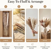 75-450pcs Rumput Pampas Kering Alami untuk Dekorasi Rumah, Pernikahan, Natal, Hari Valentine, Gaya Boho Farmhouse, Pengisi Bunga, Centerpieces