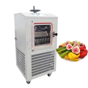 Household Small Laboratory Vacuum Freeze Dryer Machine Lyophilizer With Silicone oil heating Air Cooling LGJ-10FD