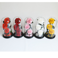 Belle la Bête Préservé Rose Led Verre Dôme Rose Éternelle pour Noël Halloween Fête des Pères Saint Valentin Fête des Mères Cadeau
