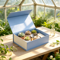 Caja de Regalo Floral Azul con Suculentas, Paleta, Hilo, Etiqueta, Embalaje para Plantas, Venta al por Mayor, Set de Regalo para Invernadero