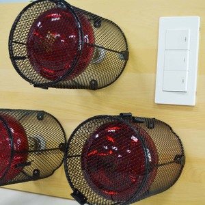 Sauna infrarouge à lumière rouge à spectre complet, panneau en bois pour sauna corporel complet et soin du visage. - Product Image 4