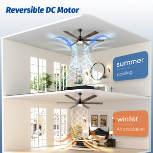 Hoa Kỳ Trong Kho Hiện Đại Kết Thúc Kép Lưỡi Yên Tĩnh DC Động Cơ 3cct LED Điều Khiển Từ Xa Patio Nhà Để Xe Quạt Trần Với Ánh Sáng - Product Image 3
