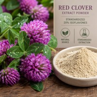 Approvisionnement direct usine : Extrait de Trèfle Rouge 8% 20% 40% Isoflavones Testé HPLC Poudre de Qualité Alimentaire