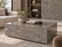 Dalles de marbre gris fossile de conque en pierre naturelle pour plateaux de table à manger, panneaux muraux, carreaux de sol, parois de douche et tables consoles