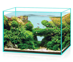 Vente en gros personnalisée 5 en 1 robuste et transparent de différentes tailles 5 en 1 salon ornemental en verre <span class=keywords><strong>aquarium</strong></span> ensemble d'<span class=keywords><strong>aquarium</strong></span> - Product Image 4