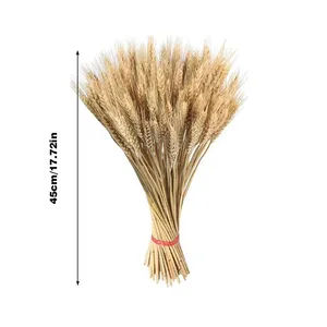 100 tiges de blé <span class=keywords><strong>séchées</strong></span> naturelles, <span class=keywords><strong>bouquet</strong></span> de décoration bohème pour la maison avec fleurs <span class=keywords><strong>séchées</strong></span> pour la décoration de cheminée - Product Image 6