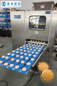 Diviseuse-rondeuse de pâte QINLI à <span class=keywords><strong>prix</strong></span> d'usine, idéale pour les pâtes à haute teneur en eau, adaptée aux lignes de production de <span class=keywords><strong>pain</strong></span> et de produits alimentaires de taille moyenne à grande - Product Image 2