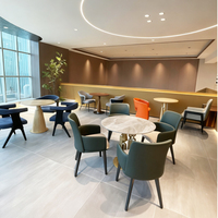 Chaises de salle à manger modernes en fer au prix d'usine pour la salle à manger et l'ameublement domestique - Design coloré pour hôtels et parcs