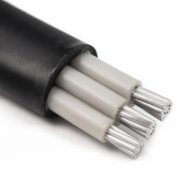 AL/XLPE/PVC 3-adriges Aluminium-Leistungskabel XLPE-Isolierung PVC-Mantel 4x50mm2 0,6 1kV Energieübertragung