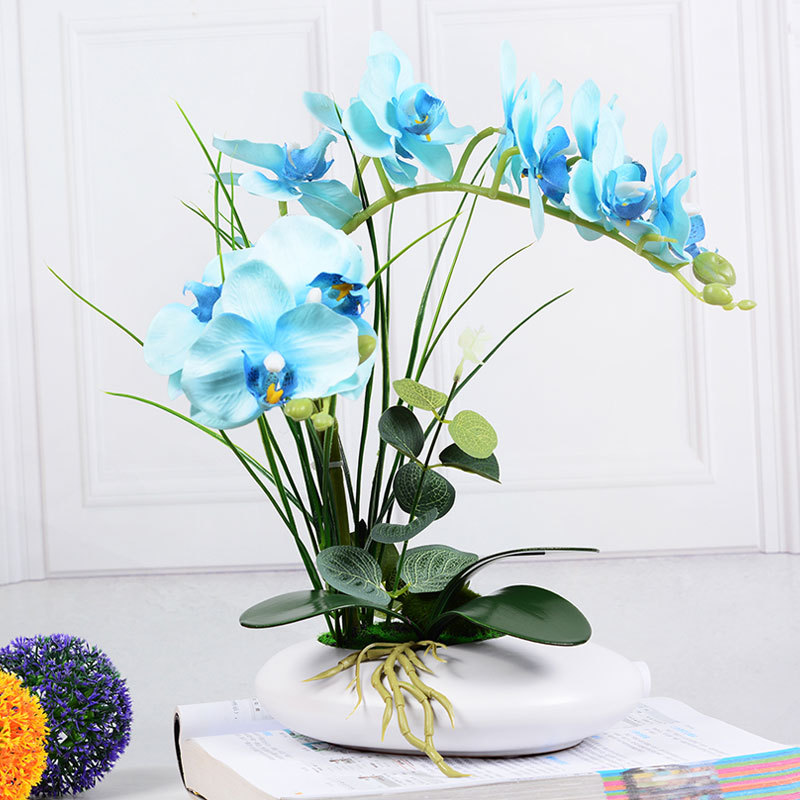 TH003