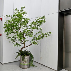 Nouvelle arrivée Offre Spéciale plantes nordiques simulées en plastique <span class=keywords><strong>Pieris</strong></span> Japonica petit <span class=keywords><strong>arbre</strong></span> pour la maison hôtel bureau paysage - Product Image 1