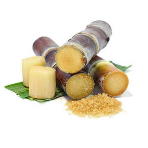 2-50 t/h saccarosio sciroppo di grande industriale automatico zucchero estrattore per zucchero di canna pianta - Product Image 5