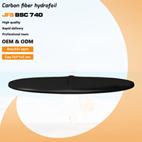 Planche hydroptère JFS Axis Series BSC 740 Envergure de 844 m² Planeur Aile avant Full Carbon SUP Surfing Kitefoil Logo personnalisable