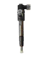 Compatible avec Foton ISF. Ensemble d'injecteurs Common Rail haute pression 2 moteurs 0445110376