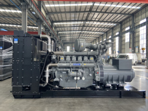 Công nghiệp mỗi-kins Máy phát điện diesel thiết lập 7-1000kw Ấn Độ/Mỹ/Anh/Trung Quốc thực hiện Máy phát điện đặt - Product Image 5