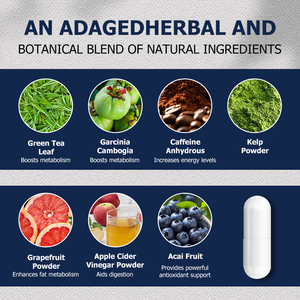 OEM ODM Thermogenic Fat Burner Capsules with Green <b>Tea</b> Leaf Graperfruit Powder Support Fat Burniing Energy Matabolism - Product Image 3