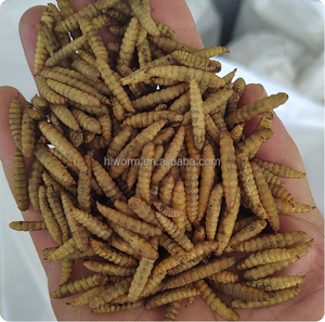 Alta proteína 10 lbs larvas de mosca de soldado negro secas a granel <span class=keywords><strong>BSF</strong></span> seco para pollo con embalaje de etiqueta privada personalizado - Product Image 2