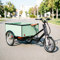 Nouveau Tricycle Cargo Électrique Renforcé à Pneus Larges 3 Roues pour Adultes, Vélo Utilitaire Urbain, Vélo Cargo, Vélo Utilitaire Électrique