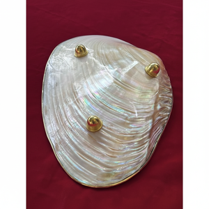 Vente en gros de cuillères en nacre 2025: Offre Spéciale artisanales de luxe, de haute qualité, réutilisables et écologiques pour coquillages et conques - Product Image 1