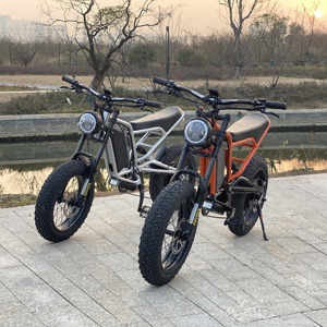 Bicicleta Eléctrica de Aluminio de 20'' con Doble Suspensión y Neumáticos Anchos de 1000w 60V, Fatbike PG - Product Image 4