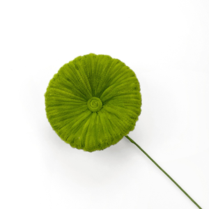 Varillas <span class=keywords><strong>de</strong></span> <span class=keywords><strong>eucalipto</strong></span> y hojas <span class=keywords><strong>de</strong></span> loto retorcidas individualmente, accesorios a juego para ramos florales - Product Image 1